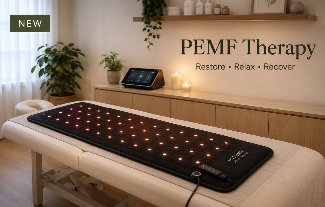 PEMF_Web_Banner